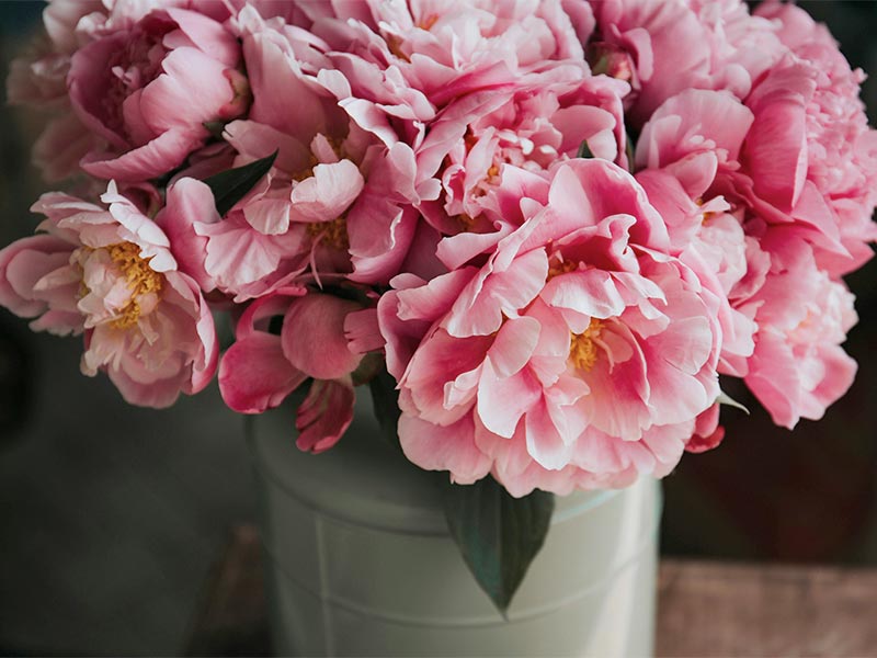 Plaisir d'offrir des fleurs avec Joséphine's flowers